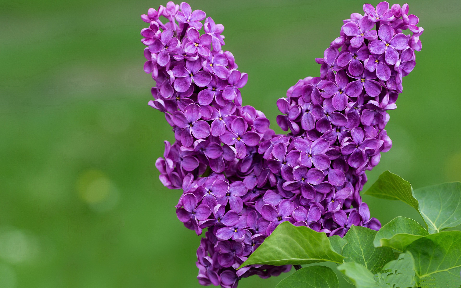 开云体育官方app-男子经验雄厚 女子潜力无限，男人精力有限女人潜力无限