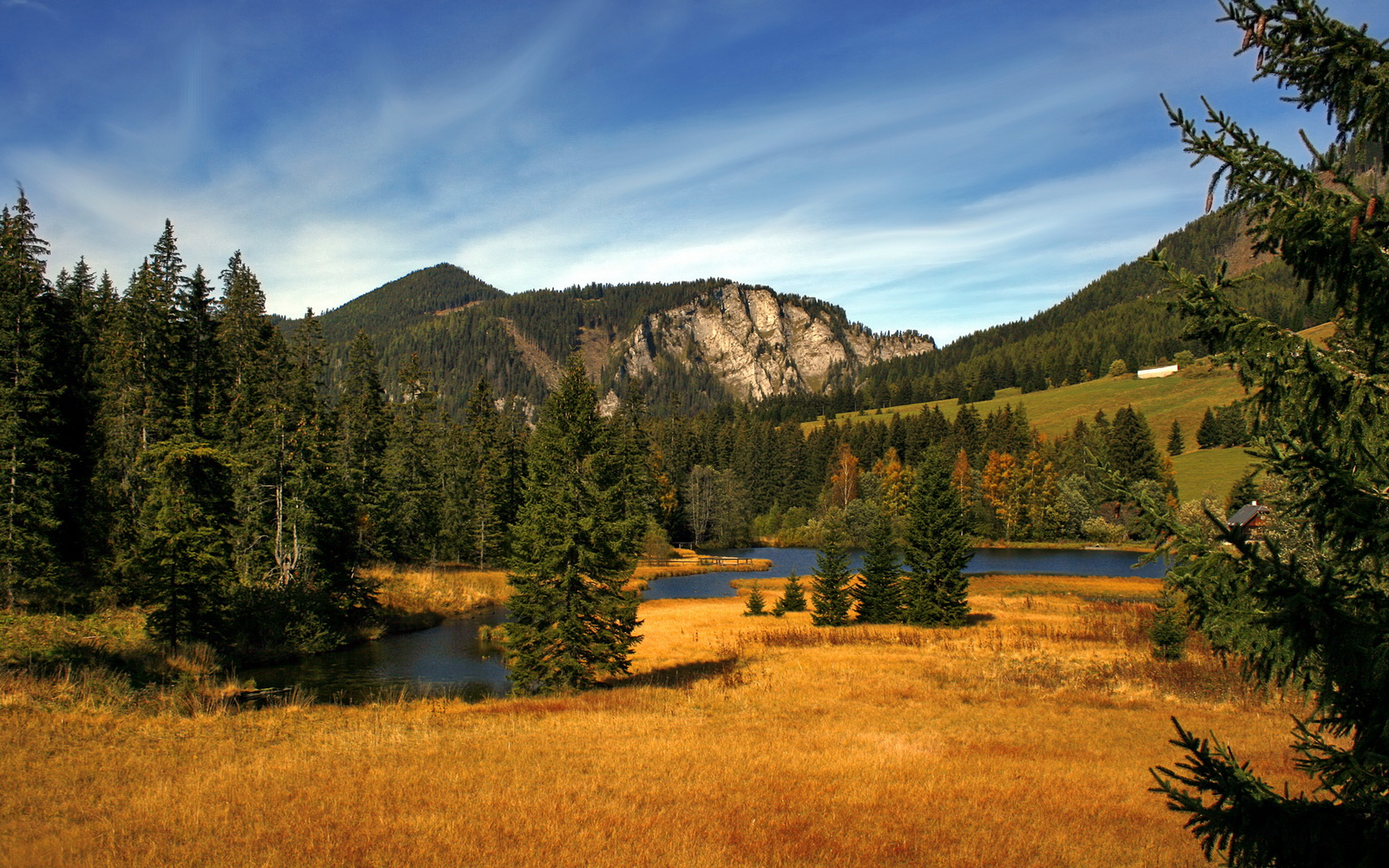 西甲明星对决：超神扑救，惊心动魄！，西甲扑救榜