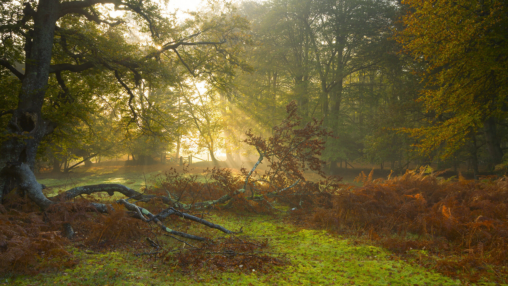 开云体育下载入口-足球探访体验营火热招募，青少年疯狂报名，足球体验馆