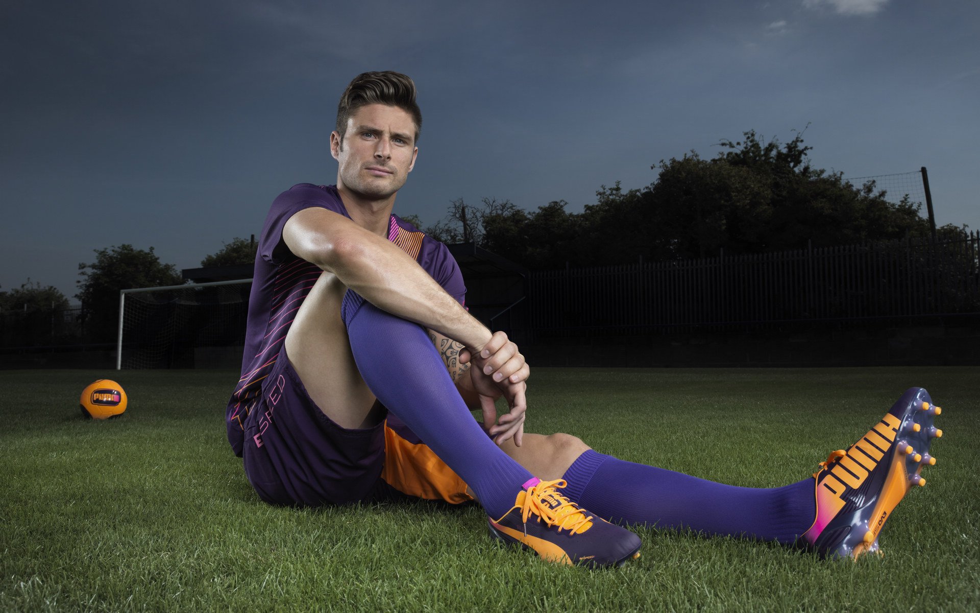 _全场欢呼：运动员激烈拼搏赢得满堂彩_，运动员在赛场上奋力拼搏终于夺得桂冠